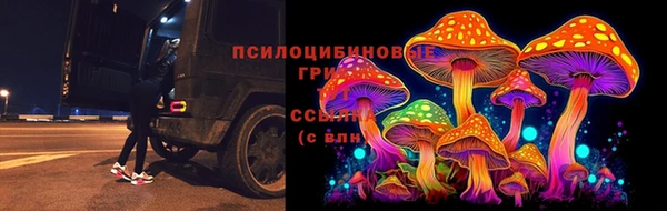 MESCALINE Алзамай