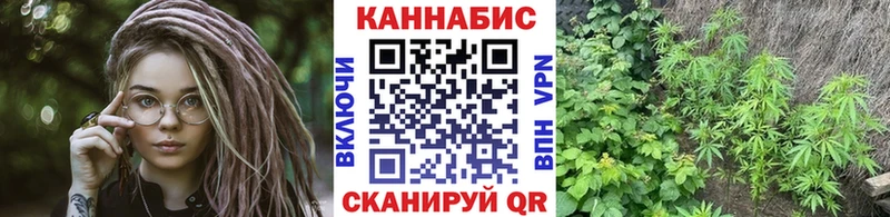 цена наркотик  Ликино-Дулёво  блэк спрут ссылки  Шишки марихуана ГИДРОПОН 
